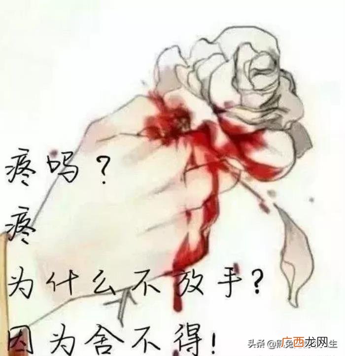 30条微信心情说说带图片 说说带图片