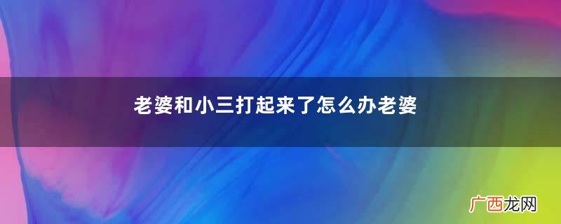 老婆和小三打起来了怎么办老婆找小三吵架怎么办