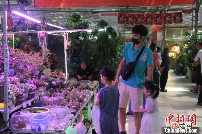 郑州树木花卉博览园 郑州园艺花卉