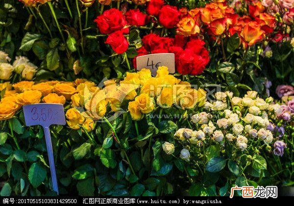 昆明斗南花卉市场 昆明情意花卉
