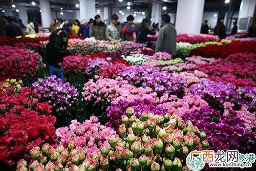 昆明斗南花卉市场 昆明情意花卉