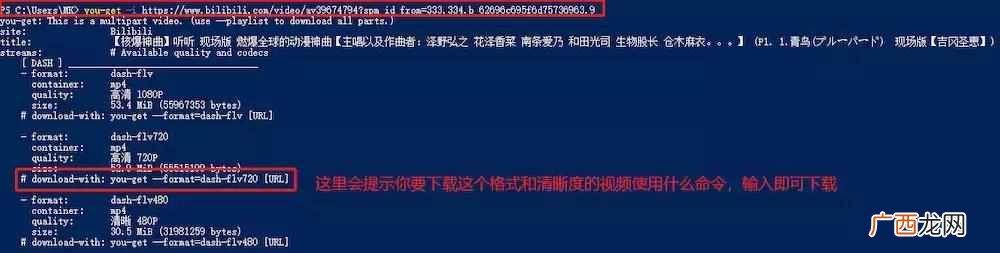如何高速下载视频？5分钟学会免费高速下载全网视频