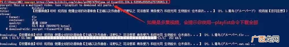 如何高速下载视频？5分钟学会免费高速下载全网视频