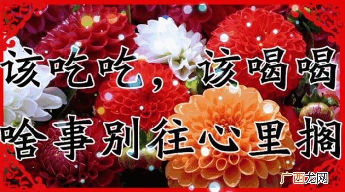 感恩我的微信里有你 感恩有你的句子