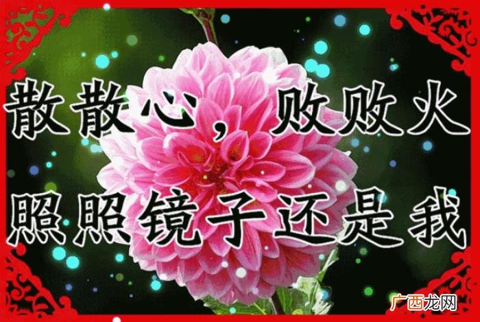 感恩我的微信里有你 感恩有你的句子