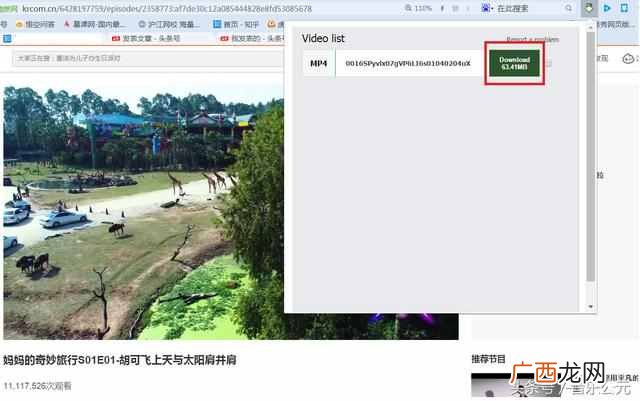 如何保存网页视频？教你一招轻松保存到本地