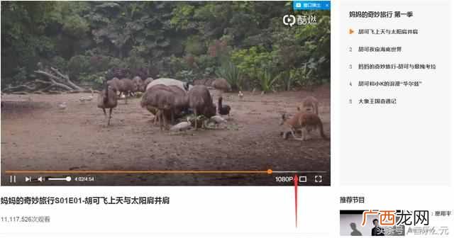 如何保存网页视频？教你一招轻松保存到本地