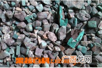 中药空青的功效与作用