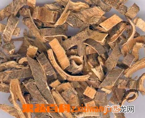 合欢皮图片 合欢皮的功效与作用