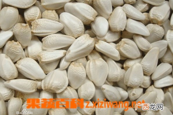 红花籽图片 红花籽的功效与作用