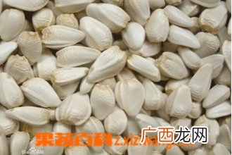 红花籽图片 红花籽的功效与作用
