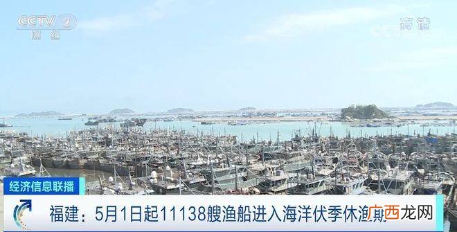 水产批发市场在哪里 央视水产直播