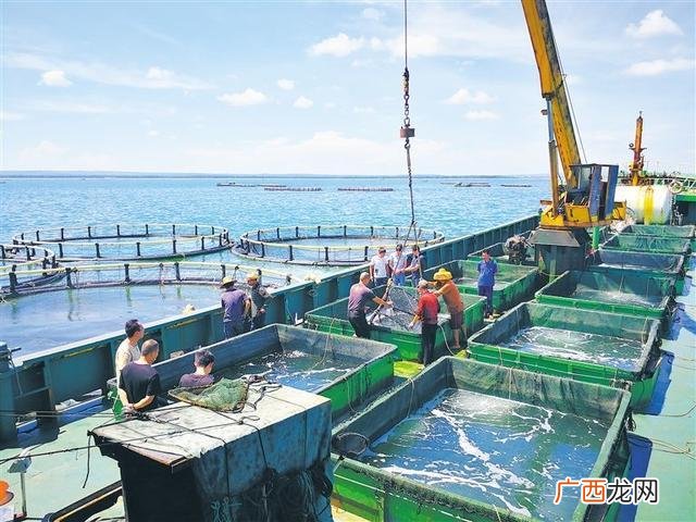 中国水产养殖排名 中国水产养殖大全