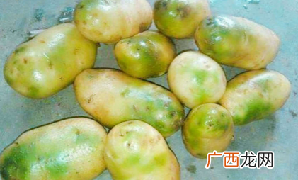 土豆放绿了还可以食用吗_土豆怎么放不变绿