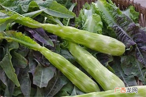 莴笋什么季节吃_莴笋适合和什么一起吃