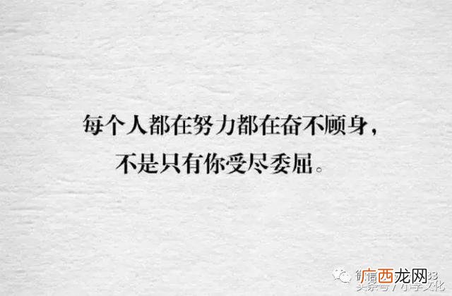 女人创业的说说,创业的女人心情说说