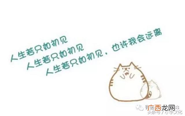 女人创业的说说,创业的女人心情说说