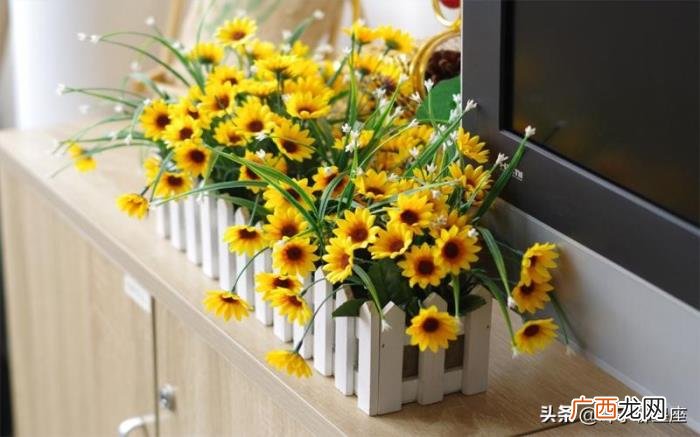 水瓶男注定爱上金牛女，水瓶座也只想和金牛座相守在一起