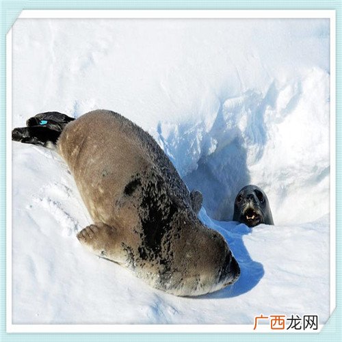 昌平新房出售最新消息 北京新开楼盘预售信息