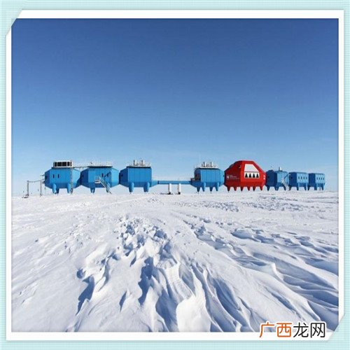 养羊知识必备大全 养羊技术教程