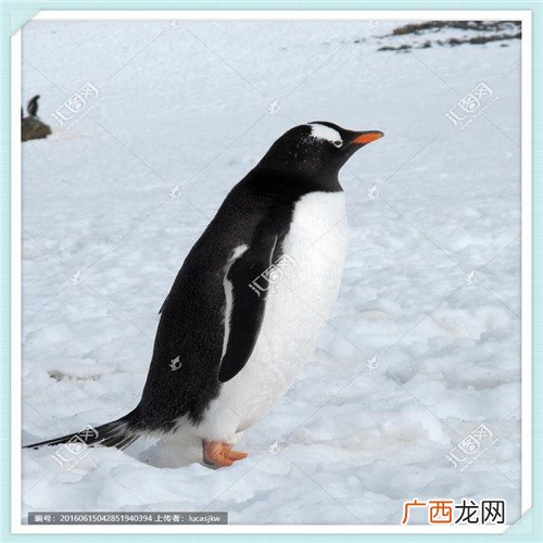 音效素材 响声