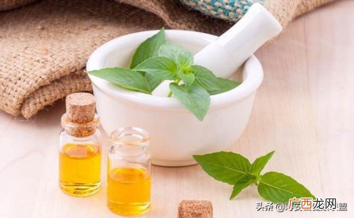 薄荷精油作用大盘点 薄荷精油的功效与用法