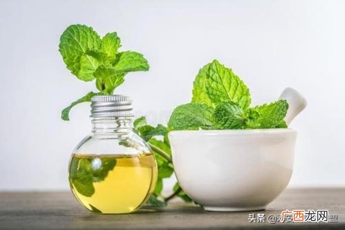 薄荷精油作用大盘点 薄荷精油的功效与用法