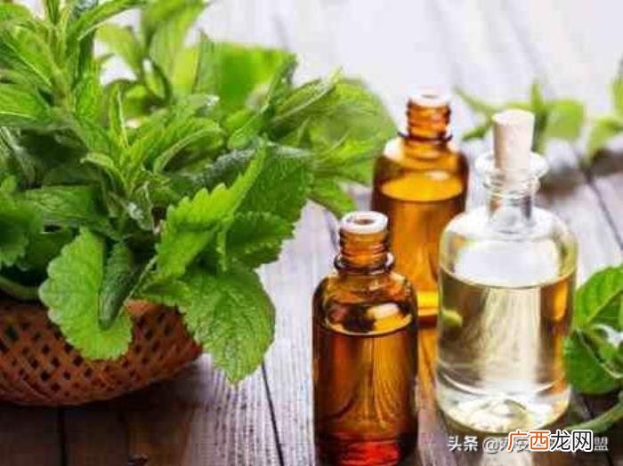 薄荷精油作用大盘点 薄荷精油的功效与用法