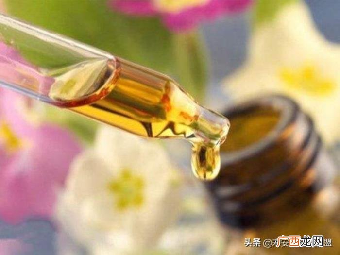 薄荷精油作用大盘点 薄荷精油的功效与用法
