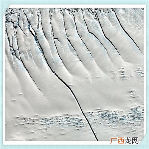 学生励志书法作品 书法正能量句子