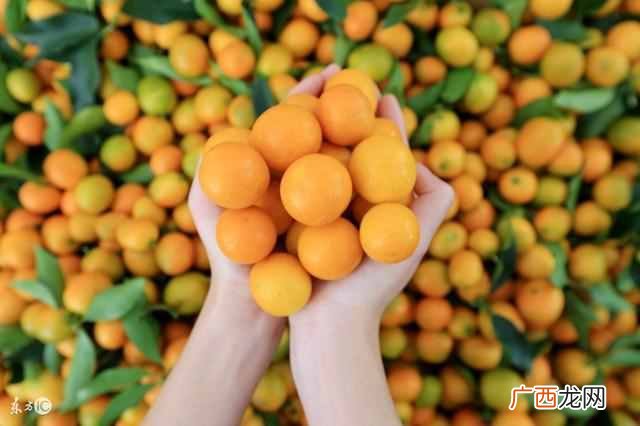 大学生开网店赚钱吗?农村创业好项目如何年入