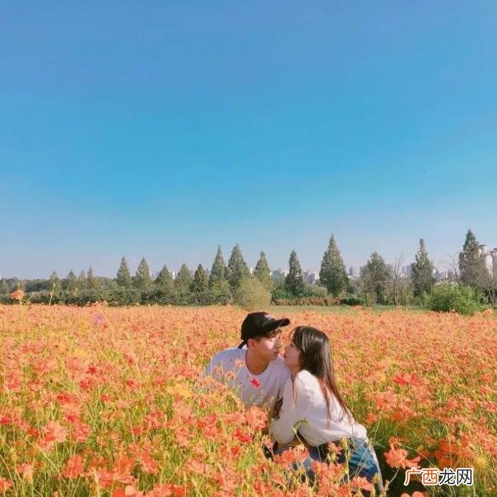 不被父母所祝福的婚姻 婚姻上千万不要听父母的