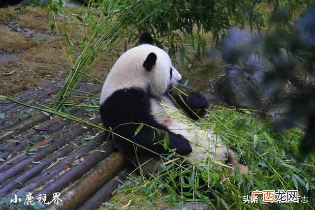情侣第一次旅游必去！中国这5个低预算城市，太适合谈恋爱