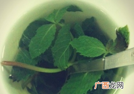 孕妇喝薄荷水有影响吗 孕妇可以喝薄荷水吗