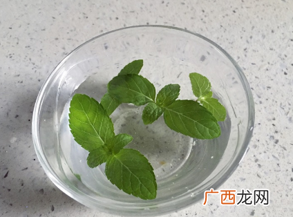 孕妇喝薄荷水有影响吗 孕妇可以喝薄荷水吗