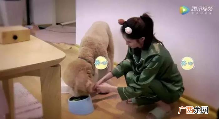 七夕节送什么给女朋友，送女朋友什么不再是个难题