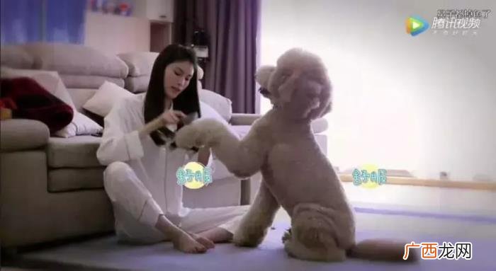 七夕节送什么给女朋友，送女朋友什么不再是个难题