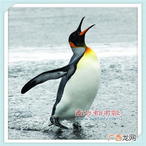 跳闸几次就不要推了 跳闸短路了电线在墙里怎么办