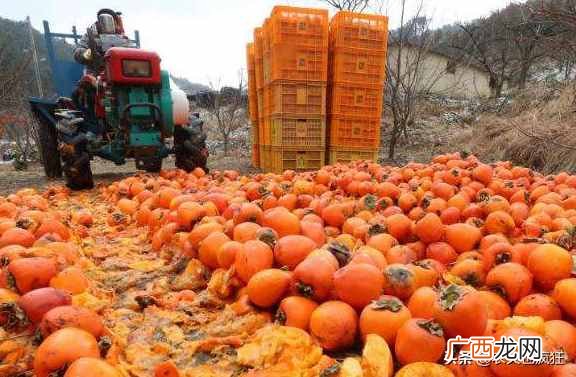 简述农产品滞销定义及具体表现 滞销是什么意思指的是什么