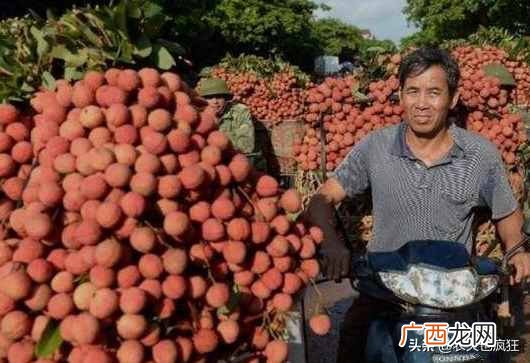简述农产品滞销定义及具体表现 滞销是什么意思指的是什么