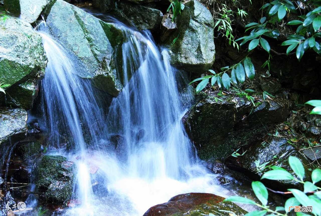 小白必知泡茶用水的3个注意点 泡茶用水的注意事项