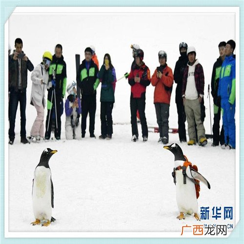沙发家具 南方家具怎么样沙发