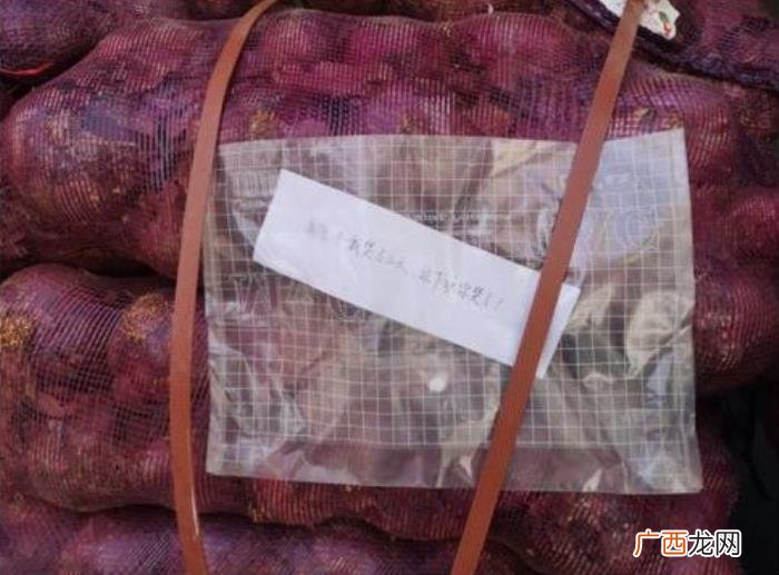 送女朋友礼物排行榜异地恋送，网恋、异地恋、现实恋都用得到
