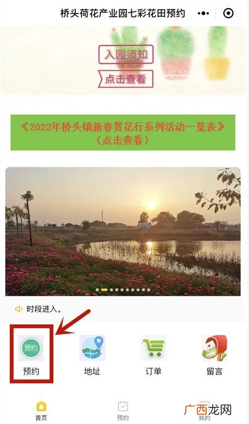 2022东莞桥头七彩花田牡丹赏花