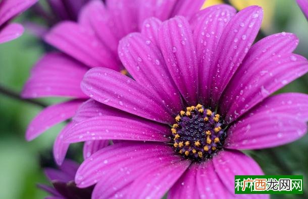 高温季节如何储藏花生