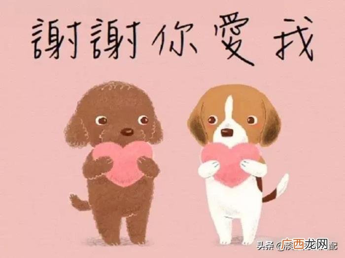 送女生便宜又走心的礼物,送女朋友这些小礼物