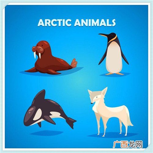 宝宝湿疹怎么办 宝宝汗疹的症状