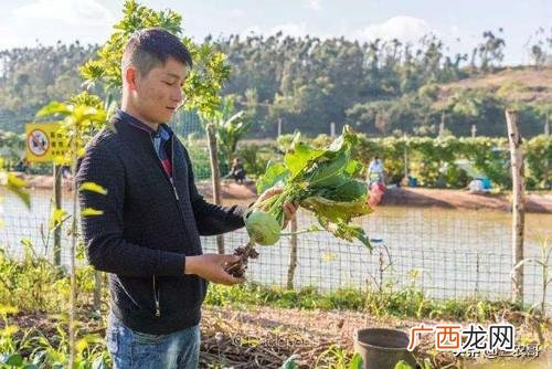 适合女人9个小生意 2020年什么适合农村创业