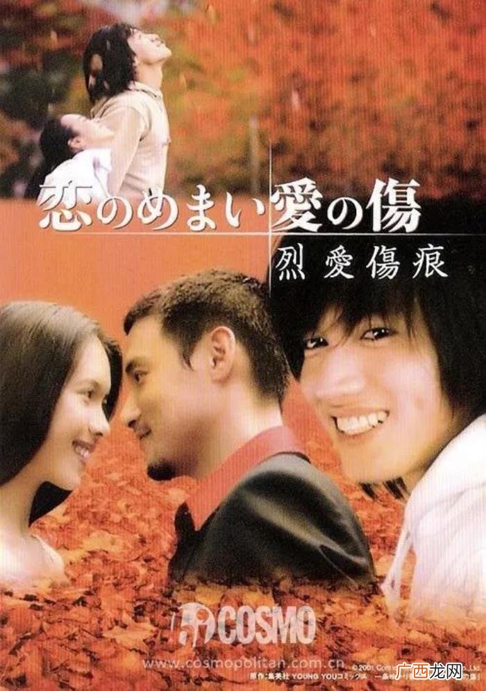 言承旭主演的电视剧,言承旭合作过的女主