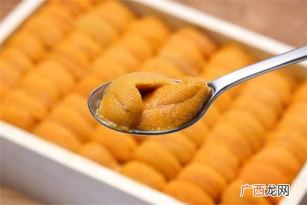 海胆没有黄能吃吗 海胆黄怎么吃